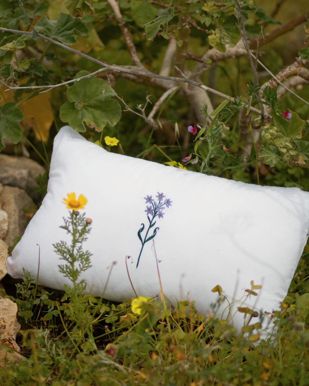 GARLIC CUSHION